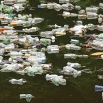 Updated: Microplastics in Bottled Water – Scientists Announce the Discovery of a Mutant Enzyme That Eats Plastic Bottles!