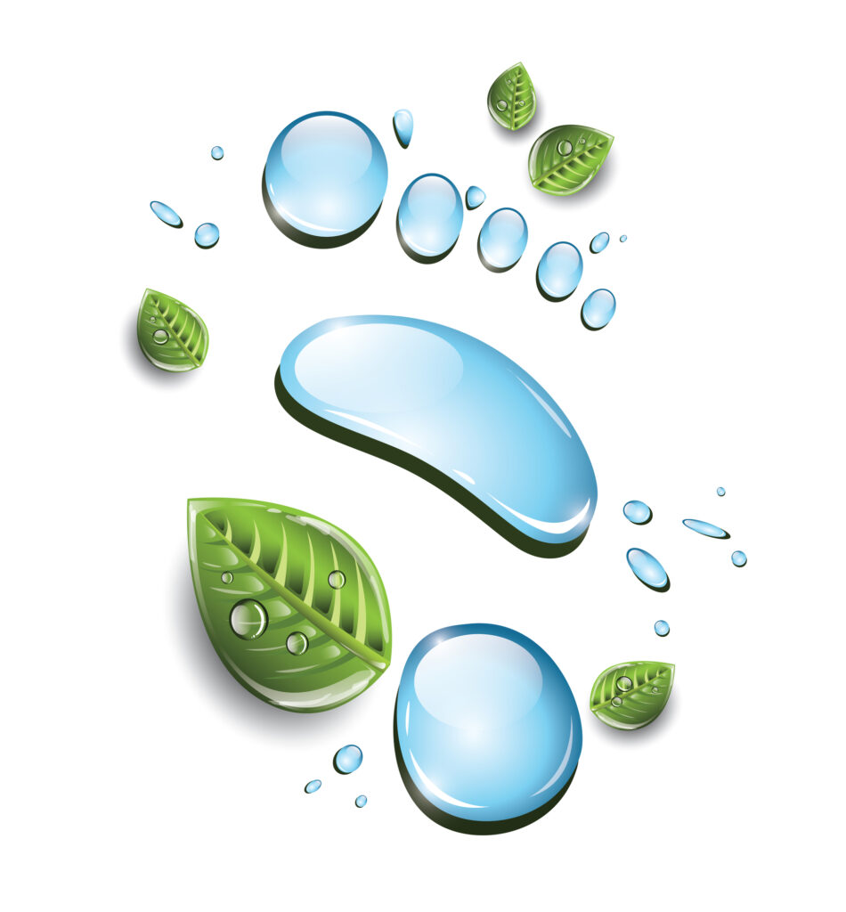 How to Improve YOUR Water Footprint and Help Save our Planet!