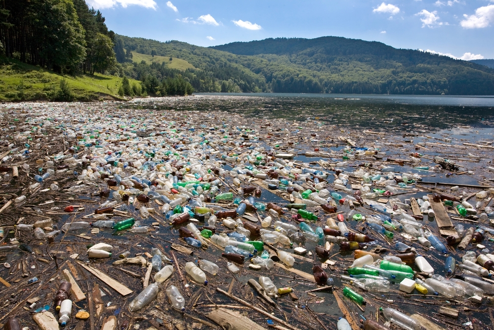 Single use plastic pollution on a lake