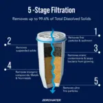 A Brief Dive into the History of Water Filtration